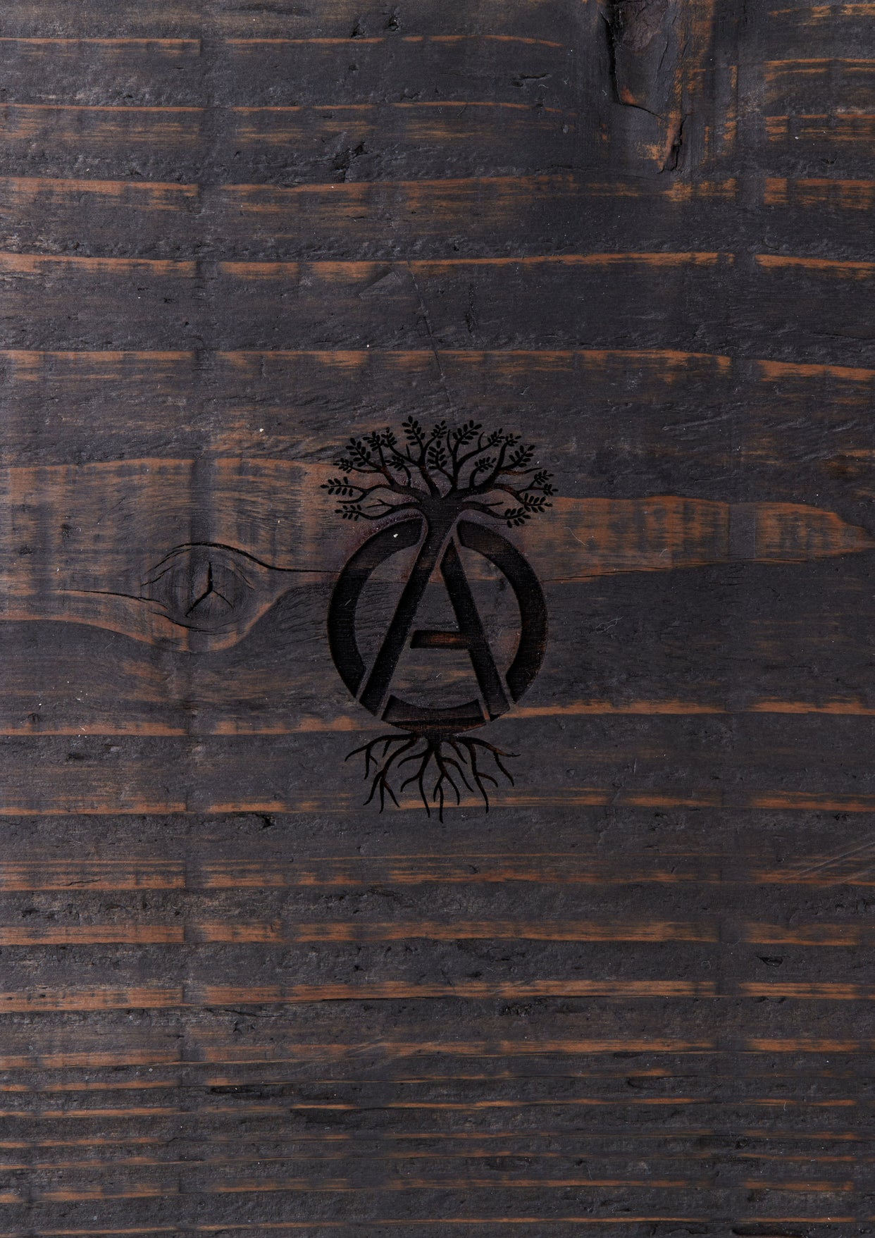 SRL X WARLOCK . BOARD-6