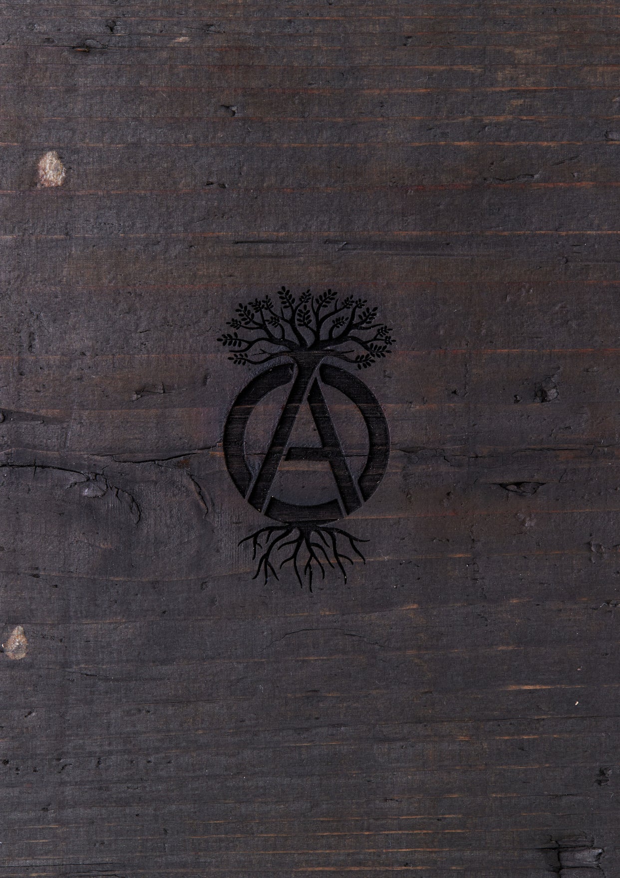 SRL X WARLOCK . BOARD-7